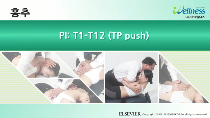 흉추_029_PI T1-T12 (TP push)_v1