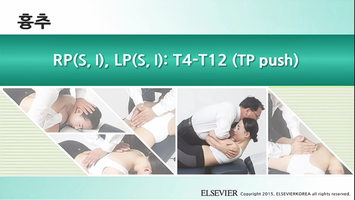 흉추_027_RP(S, I), LP(S, I) T4-T12 (TP push)_v1