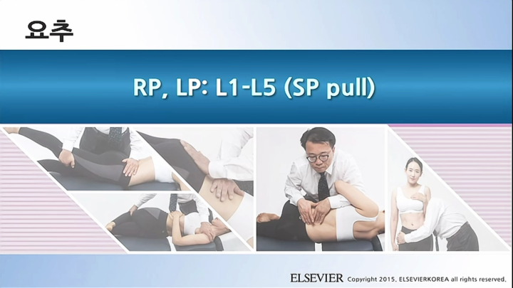 요추_040_RP, LP; L1-L5 (SP pull)_v1